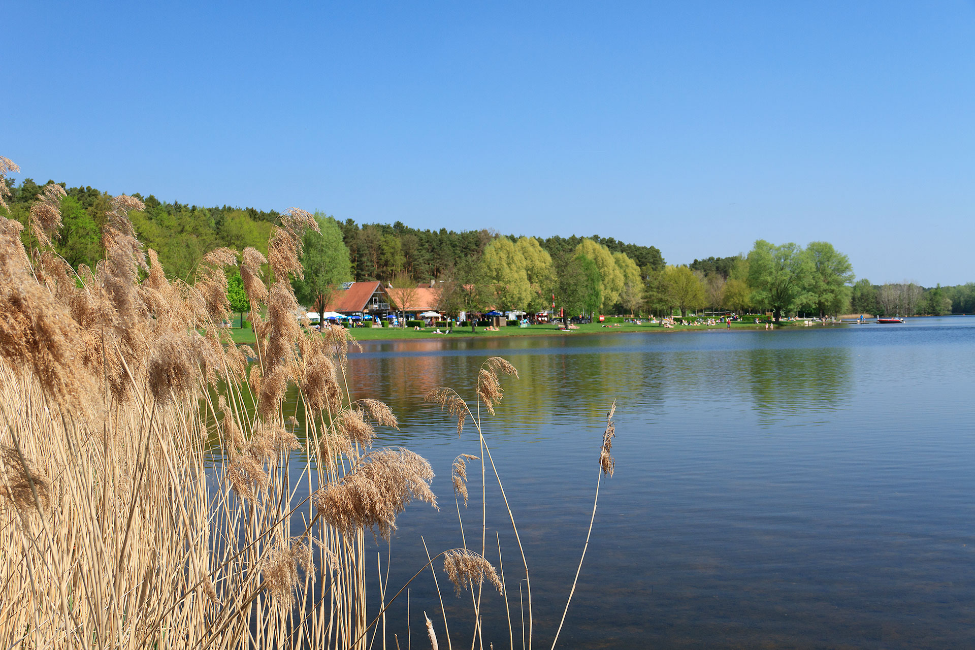 Immobilienmakler im Herzogtum Lauenburg