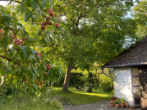 Außenansicht und Garten - Architektenhaus mit Galerie auf großzügigem Grundstück in ruhiger Lage von Mölln